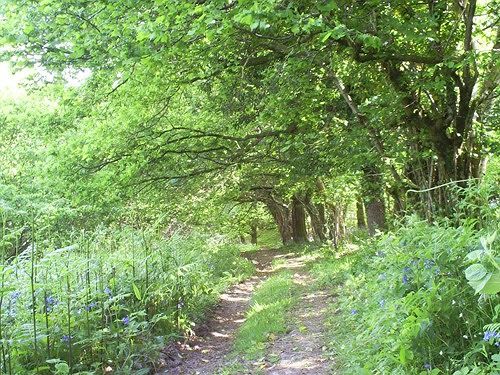 Lowertown Farm B&B Widecombe in the Moor Εξωτερικό φωτογραφία