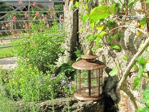 Lowertown Farm B&B Widecombe in the Moor Εξωτερικό φωτογραφία
