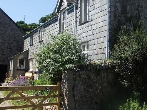 Lowertown Farm B&B Widecombe in the Moor Εξωτερικό φωτογραφία